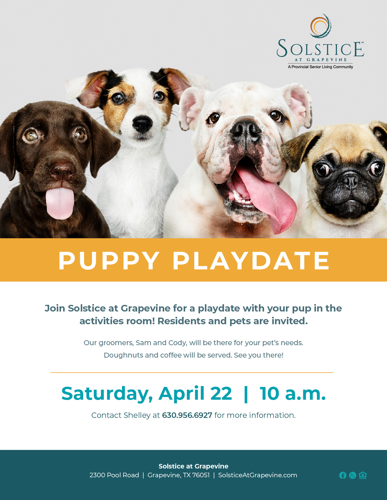 Puppy Playdate flyer